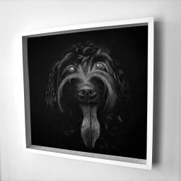 Drawing of a dog on black paper