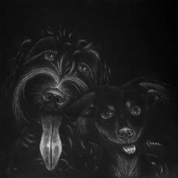 a drawing of two dogs on black paper with white pencil