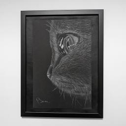 Drawing of a cat