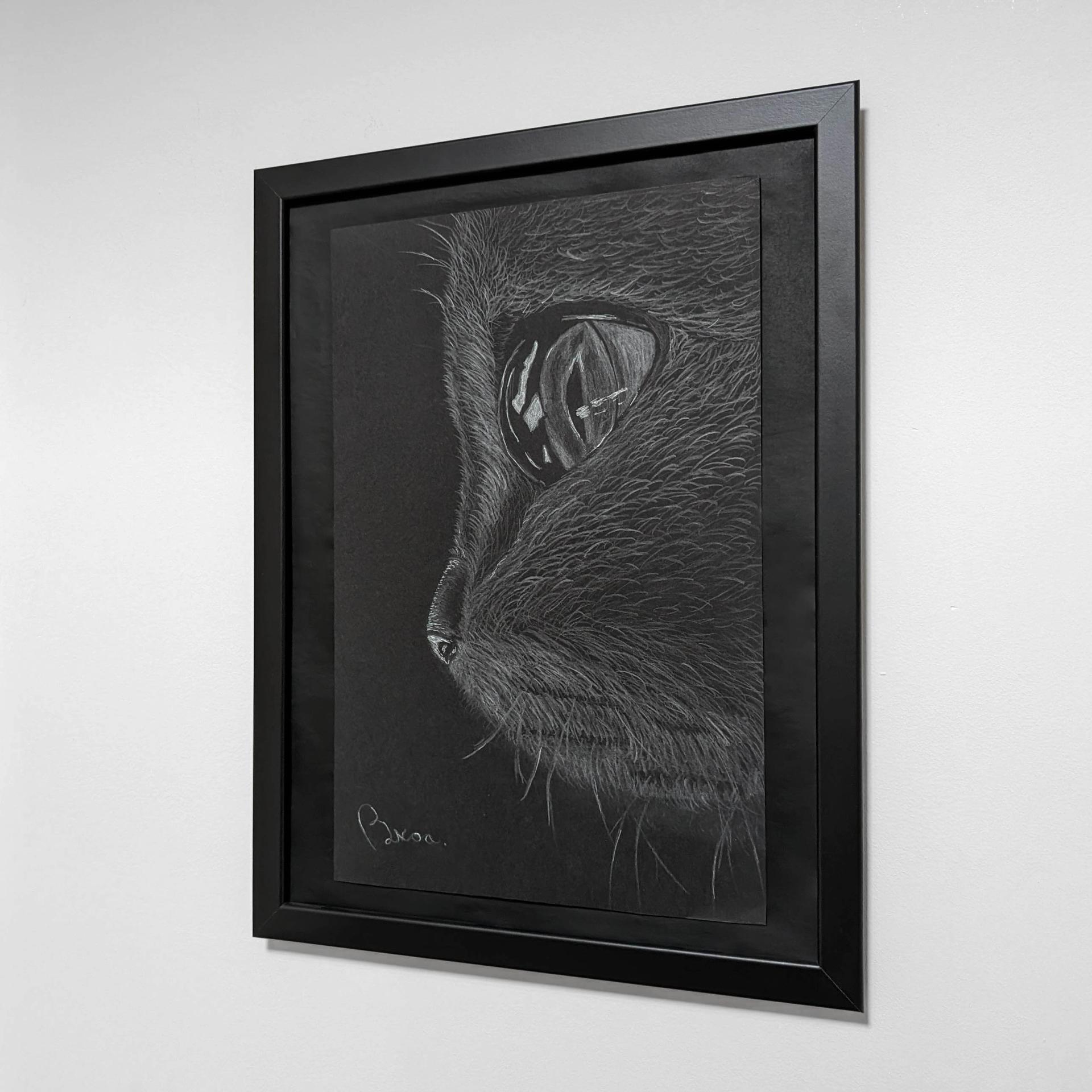 Black and white drawing of a cat