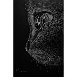 Realistic cat drawing