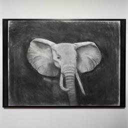 Shadow drawing of a elephant